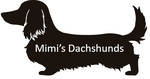 Mimi's Dachshund